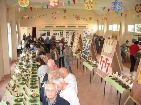 Expo champignons aux Breviaires 08